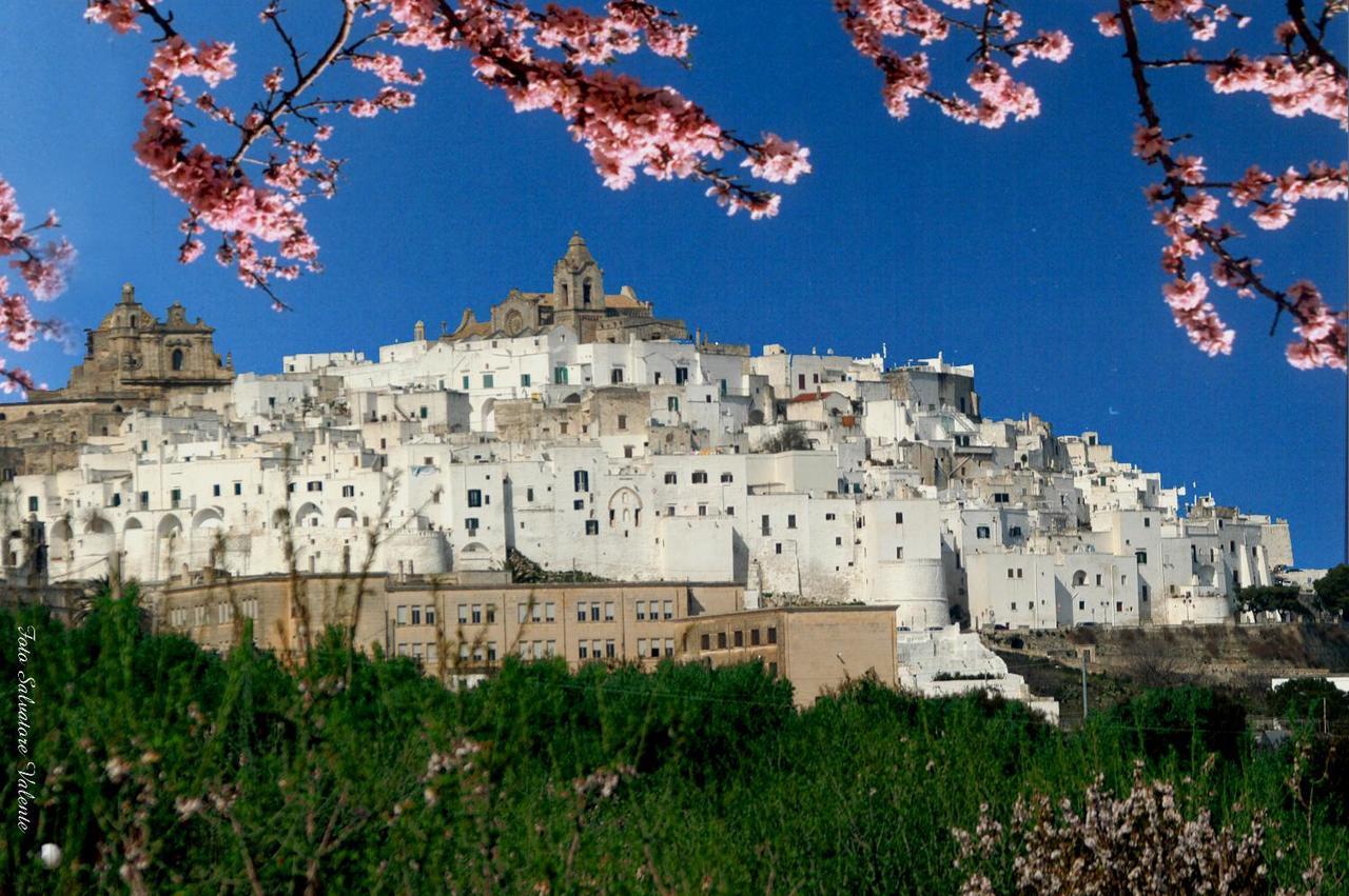 Casa Carlotta Villa Ostuni Eksteriør bilde